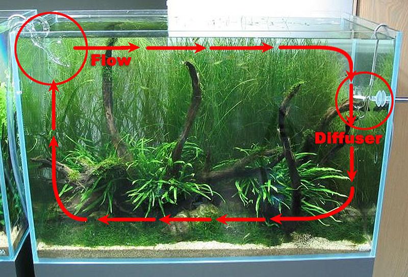 Filtracija i protok biljnih akvarija - Akvarij NET