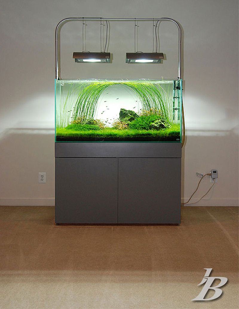 Rasvjeta biljnih akvarija - Akvarij NET